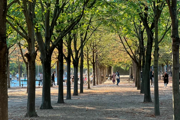 Trilhas naturais com solo de terra batida em áreas verdes interligadas no centro de Belo Horizonte