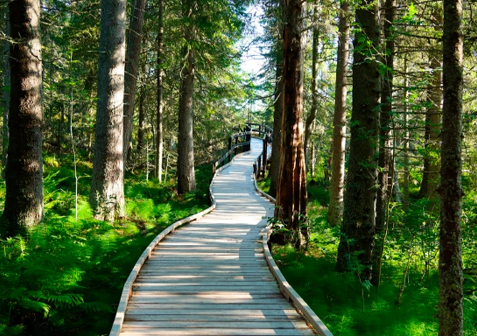 Caminhada assistida por passarelas ecológicas suspensas em parques acessíveis da Chapada dos Guimarães